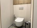4-комнатная квартира · 181 м² · 1/3 этаж, Сейдимбек 110/2 за 320 млн ₸ в Алматы, Наурызбайский р-н — фото 57