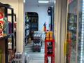 Готовый бизнес · 80 м², бағасы: 350 000 ₸ в Шымкенте, Туран р-н — фото 11