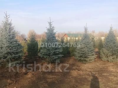 Питомник растений · 10000 м² за 70 млн ₸ в Береке
