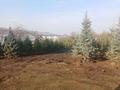 Питомник растений · 10000 м² за 70 млн ₸ в Береке — фото 12