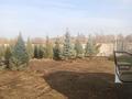 Питомник растений · 10000 м² за 70 млн ₸ в Береке — фото 13