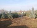 Питомник растений · 10000 м² за 70 млн ₸ в Береке — фото 2