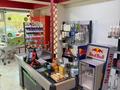 Продуктовый магазин и кафе · 333 м² за 48 млн ₸ в Алматы, Бостандыкский р-н — фото 10