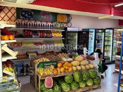 Продуктовый магазин и кафе · 333 м² за 48 млн ₸ в Алматы, Бостандыкский р-н