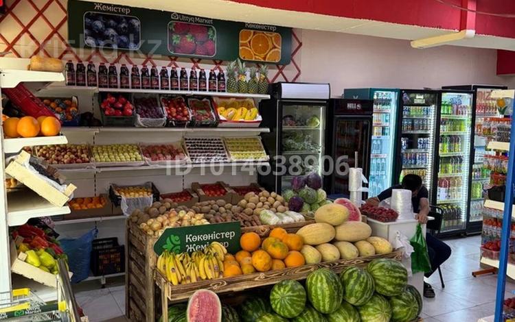 Продуктовый магазин и кафе · 333 м² за 48 млн ₸ в Алматы, Бостандыкский р-н — фото 16