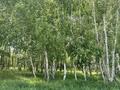 Участок · 13 соток, Аккайын за 25 млн ₸