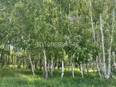 Жер телімі · 13 сотық, Аккайын, бағасы: 25 млн ₸