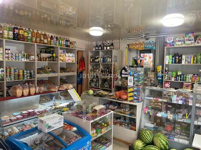 Действующие продуктовый магазин в хорошем состоянии · 47 м² за 16 млн ₸ в 