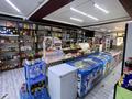 Действующий продуктовый магазин · 150 м² за 10 млн ₸ в Таразе, мкр Карасу — фото 5