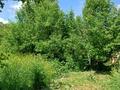 Жеке үй · 4 бөлме · 383 м² · 26 сот., Есим хан 89, бағасы: 55 млн ₸ в Рыскулово — фото 18