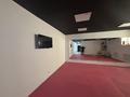 Развлечения · 270 м² за 30 млн ₸ в Актобе, мкр. Алтын орда — фото 12