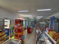 Магазины и бутики · 100 м² за 70 млн ₸ в Усть-Каменогорске, Ахмирово — фото 7