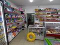 Магазины и бутики · 100 м² за 70 млн ₸ в Усть-Каменогорске, Ахмирово — фото 11