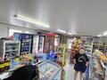 Магазины и бутики · 50 м² за 19 млн ₸ в Усть-Каменогорске, Меновное — фото 3