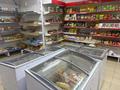 Магазины и бутики · 72 м² за 450 000 ₸ в Астане, Алматы р-н — фото 2