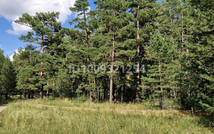 Жер телімі · 2 га, Жүкей, бағасы: 18 млн ₸ в  — фото 2
