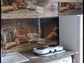 1-бөлмелі пәтер · 20 м² · 7 қабат, ул. Новаторов 3, бағасы: 120 000 ₸ в Усть-Каменогорске, Ульбинский