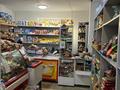 Магазины и бутики • 54 м² за 19 млн 〒 в Павлодаре — фото 6