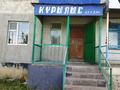 Дүкендер мен бутиктер · 60 м², бағасы: 13 млн ₸ в Кандыагаш — фото 4