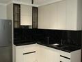 1-комнатная квартира · 48 м² · 15/16 этаж, Сырым батыра 2Б — Толеметова-Сырым Батыр за 250 000 ₸ в Шымкенте, Абайский р-н — фото 3