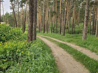 Бани, гостиницы и зоны отдыха · 344 м² за ~ 149.5 млн ₸ в Бурабае