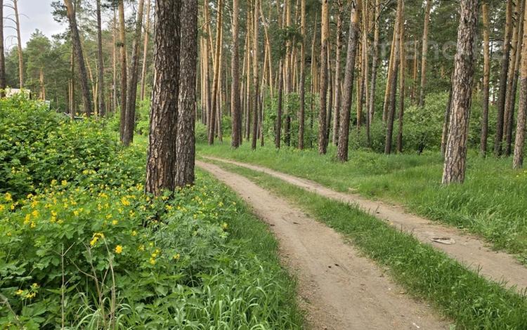 Бани, гостиницы и зоны отдыха · 344 м² за ~ 149.5 млн ₸ в Бурабае — фото 2