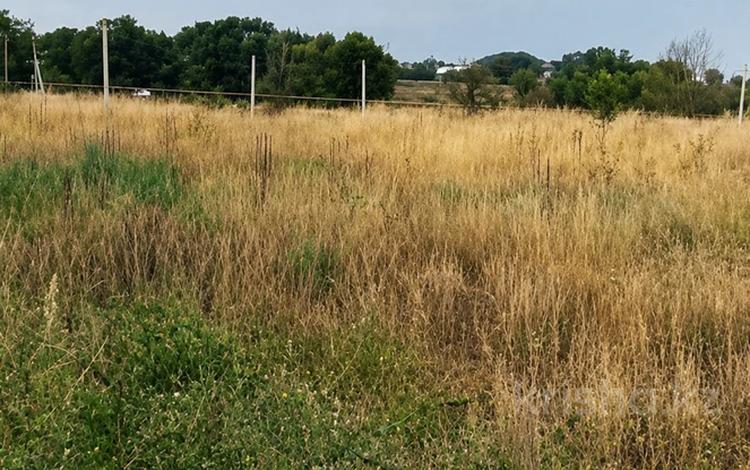 Жер телімі · 12 сотық, Айтей 203, бағасы: 15 млн ₸ в Каскелене — фото 2