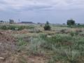 Участок · 95 соток, Байтерек (Новоалексеевка) за 75 млн 〒 — фото 5