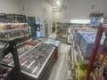 Продуктовый магазин · 115 м², бағасы: 10 млн ₸ в Астане, Есильский р-н — фото 12