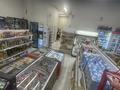 Продуктовый магазин · 115 м², бағасы: 10 млн ₸ в Астане, Есильский р-н — фото 13