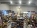 Продуктовый магазин · 115 м², бағасы: 10 млн ₸ в Астане, Есильский р-н — фото 14