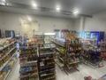 Продуктовый магазин · 115 м², бағасы: 10 млн ₸ в Астане, Есильский р-н — фото 16