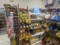 Продуктовый магазин · 115 м², бағасы: 10 млн ₸ в Астане, Есильский р-н — фото 17