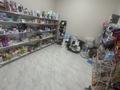 Продуктовый магазин · 115 м², бағасы: 10 млн ₸ в Астане, Есильский р-н — фото 21