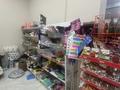 Продуктовый магазин · 115 м², бағасы: 10 млн ₸ в Астане, Есильский р-н — фото 23
