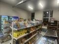 Продуктовый магазин · 115 м², бағасы: 10 млн ₸ в Астане, Есильский р-н — фото 27