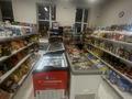 Продуктовый магазин · 115 м², бағасы: 10 млн ₸ в Астане, Есильский р-н — фото 6