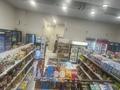 Продуктовый магазин · 115 м², бағасы: 10 млн ₸ в Астане, Есильский р-н — фото 7