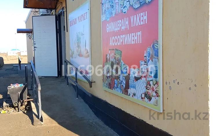 Магазин и баня · 250 м² за 45 млн ₸ в Атырау, мкр Кокарна — фото 18