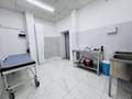 Медцентры и аптеки · 115 м² за 1.5 млн ₸ в Астане, Есильский р-н — фото 10