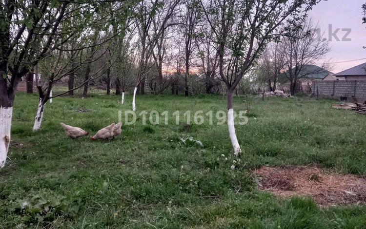 Жер телімі · 8 сотық, Қайнар Бұлақ, А болешов 1046 — 149 конечни, бағасы: 8 млн ₸ в Шымкенте, Абайский р-н — фото 2