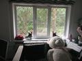 3-комнатная квартира · 43 м² · 1/5 этаж, Мызы 29 за 16.5 млн ₸ в Усть-Каменогорске — фото 5