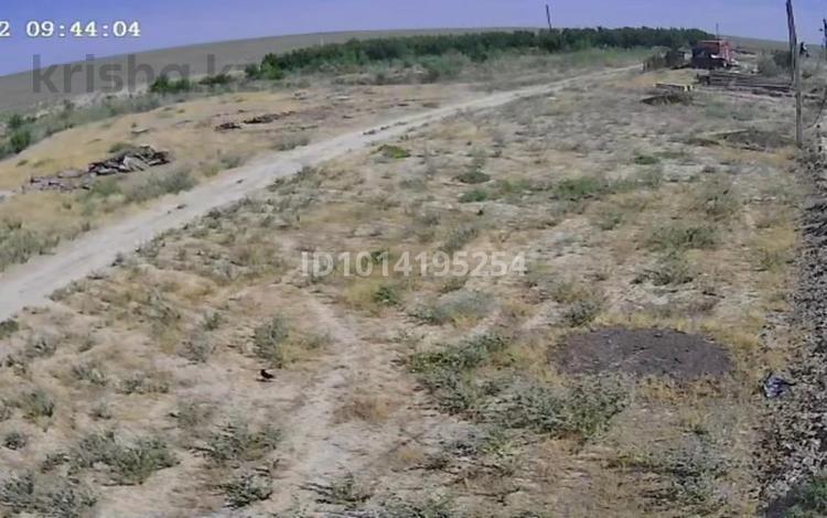 Жер телімі · 150 га, Темірлан, бағасы: 950 млн ₸ в  — фото 2