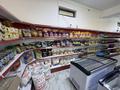 Еркін · 310 м², бағасы: 170 млн ₸ в Жанатасе — фото 11