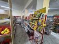 Еркін · 310 м², бағасы: 170 млн ₸ в Жанатасе — фото 20