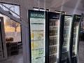 Еркін · 310 м², бағасы: 170 млн ₸ в Жанатасе — фото 27