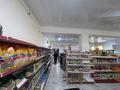 Еркін · 310 м², бағасы: 170 млн ₸ в Жанатасе — фото 9