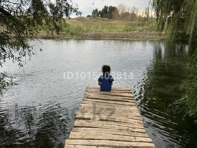 Рыбное хозяйство, платная рыбалка · 20000 м², бағасы: 250 млн ₸ в Талдыкоргане, мкр Жана Гарышкер