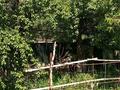 Отдельный дом · 5 комнат · 148 м² · 8 сот., мкр Достык за 135 млн ₸ в Алматы, Ауэзовский р-н — фото 5