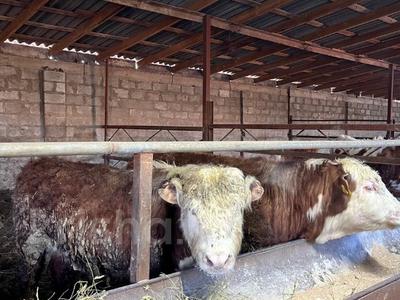 Өнеркәсіптік база · 22 га, 5 микрорайон 1, бағасы: 250 млн ₸ в 